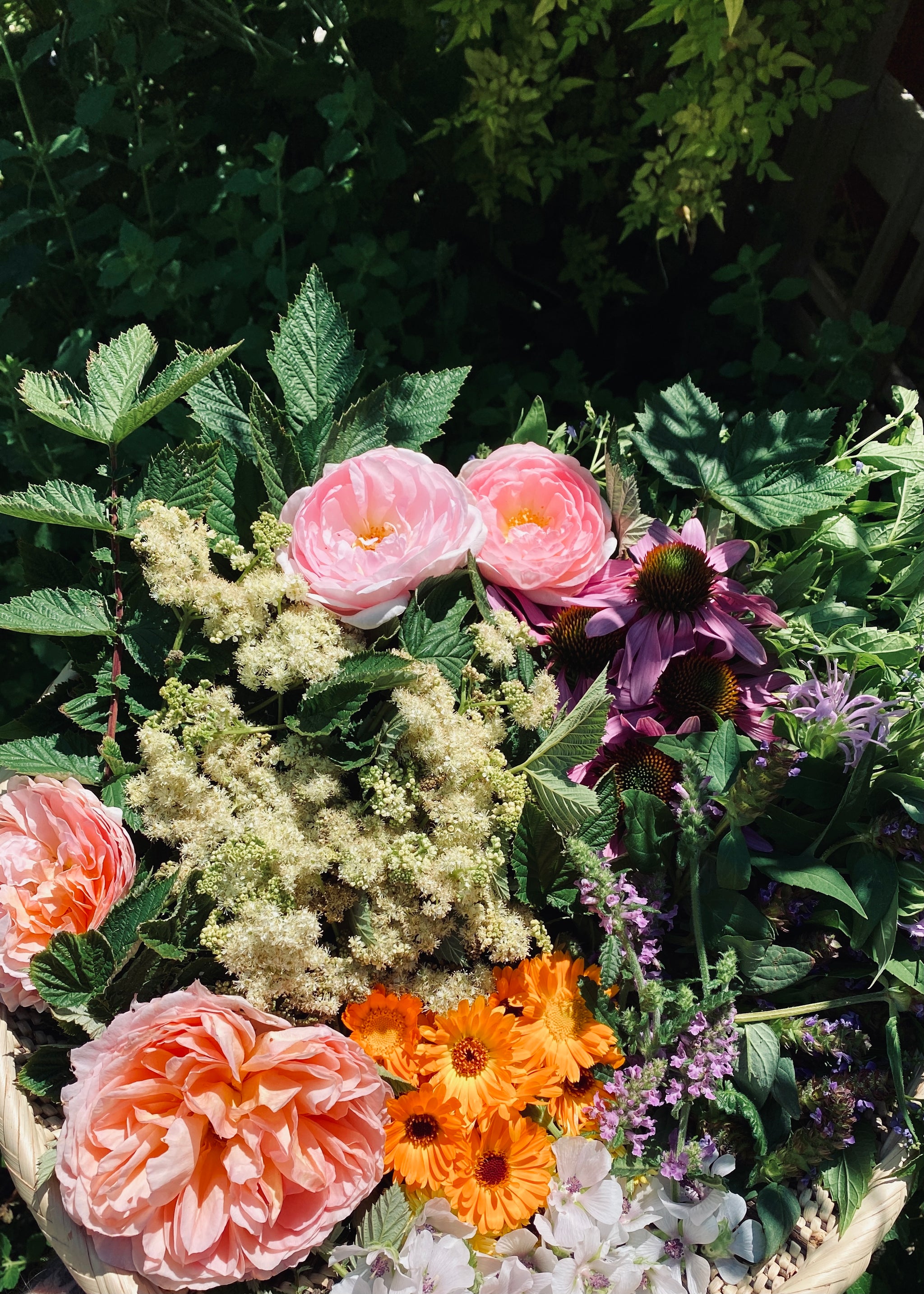 Basket full of fresh flowers and herbs