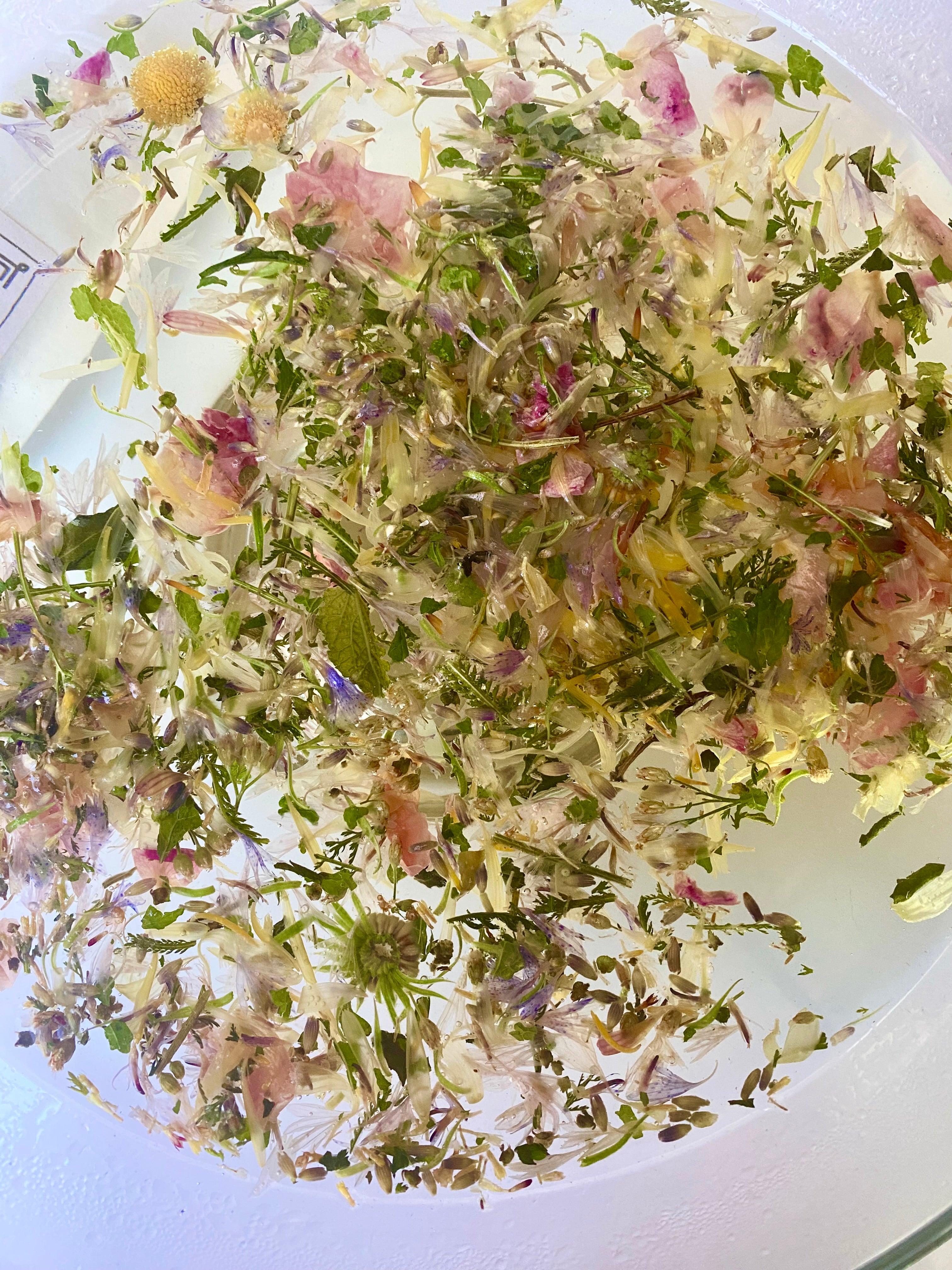 Herbal Facial Steam