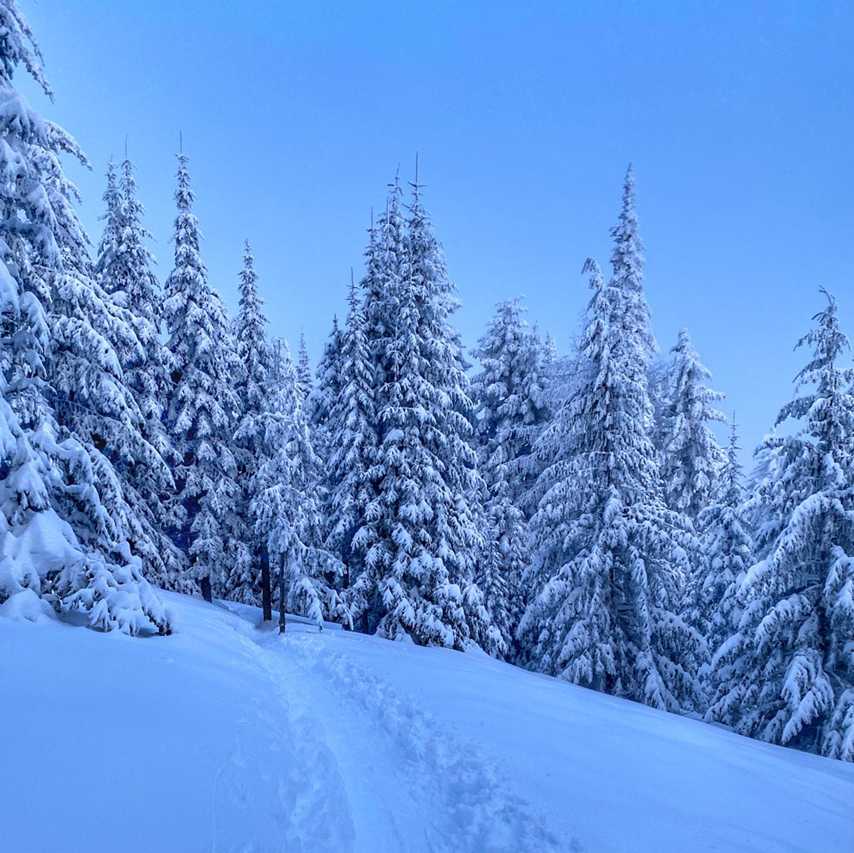 Winter Sky Hydramist